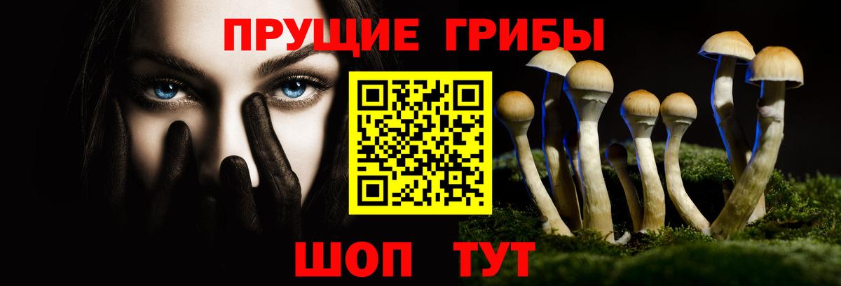 Псилоцибиновые грибы прущие грибы  Псилоцибиновые грибы прущие грибы  Камышлов  где купить   Вход с VPN 